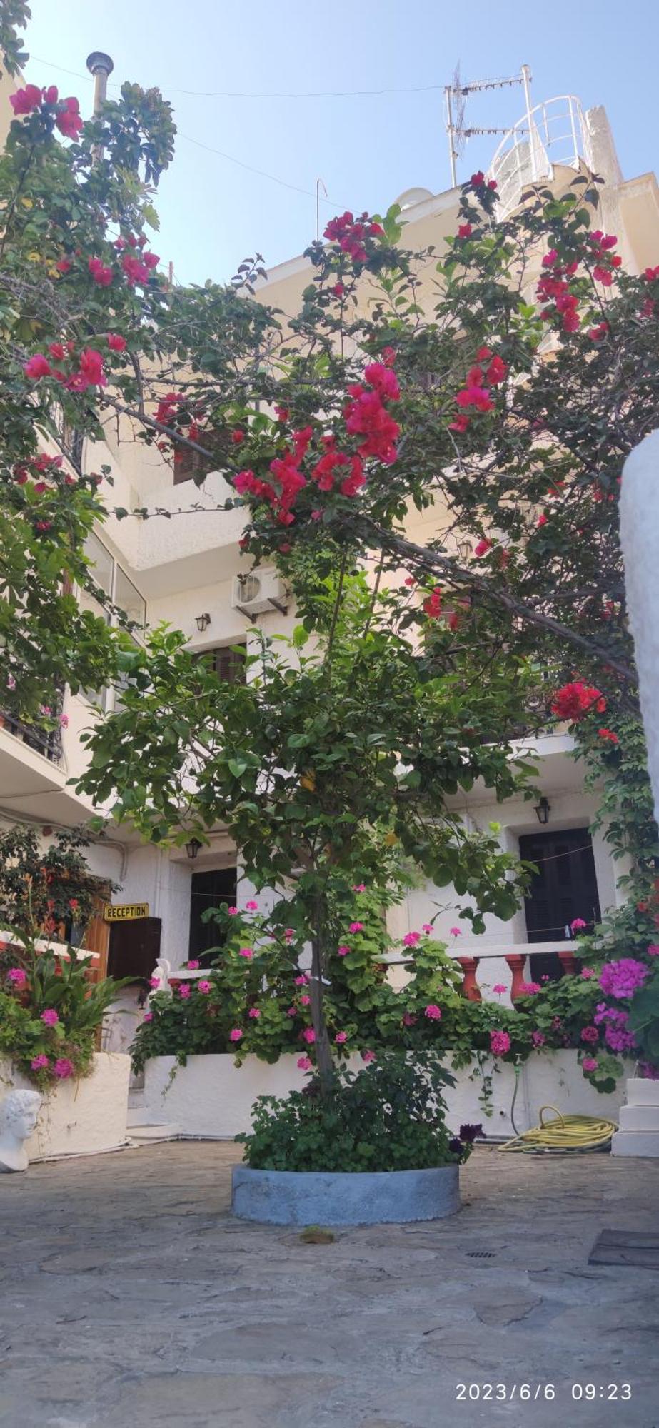 Odysseas Hotel Samos Exterior foto